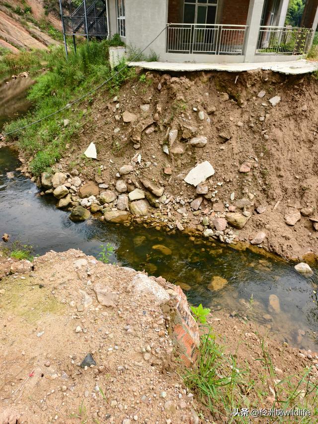 成都徒步（69）·彭州篇⑯法藏寺环线（桥断未走通）