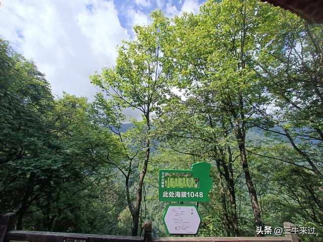 无为在歧路，贵州六日行（15）～梵净山