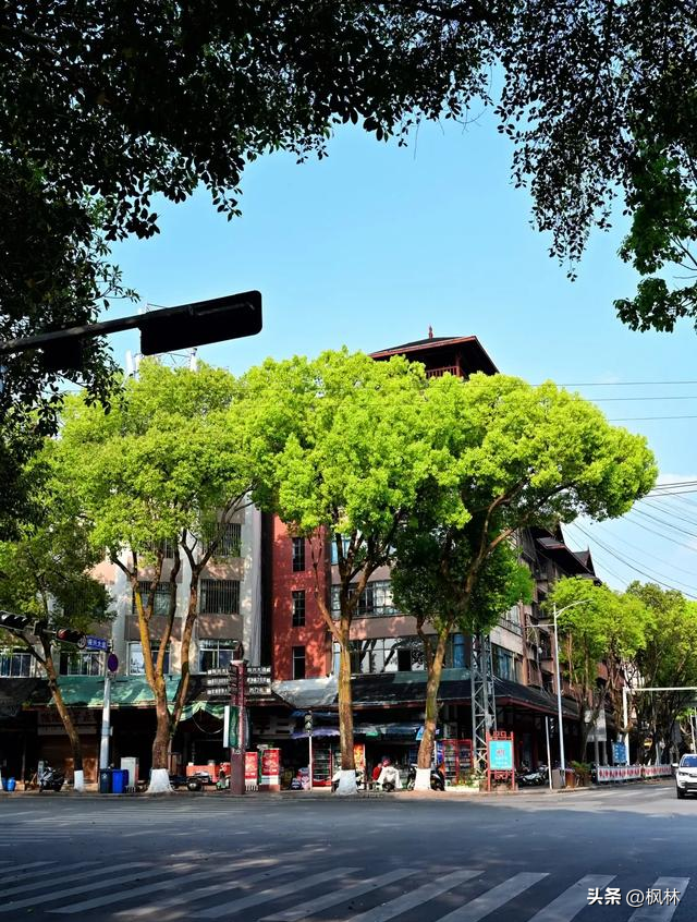 我爸妈旅居云南普洱一年，直呼普洱这三点太舍不得，不想回杭州了