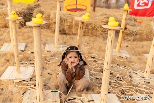 开年遛娃首选！东平湖流浪水世界暖冬亲子奇遇季，全家欢乐新去处！