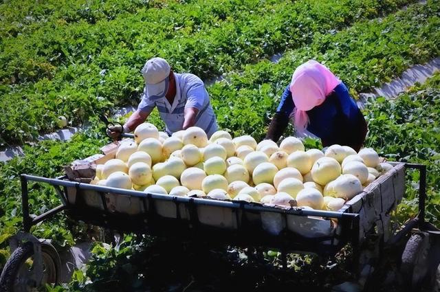 美国专家：这县城必成罗布泊！4万年轻姑娘不信邪，直接杀到沙漠