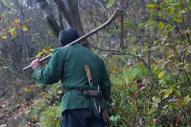 农村捕蛇人说：此草周围必有毒蛇，老捕蛇人也不敢靠近图片