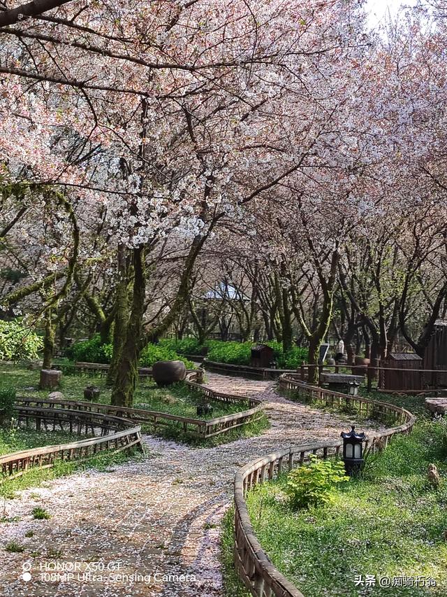 最美最妩媚，人间四月天