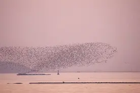 火爆全网！在合肥上空拍下！专家回应来了图片