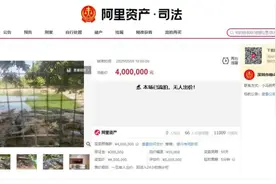 100吨活体鳄鱼，400万元无人要图片