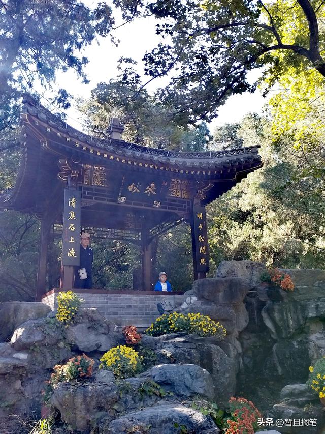 以我4次经历，带你打卡北京香山，北京的朋友请补充