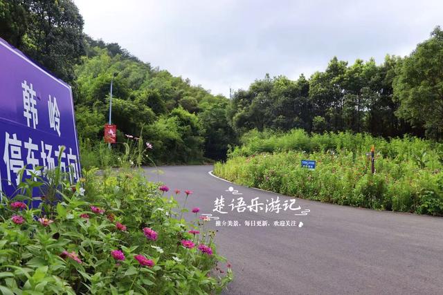 浙江宁波这里被誉为梵高画境，向日葵已谢但百日菊花开，老街更美