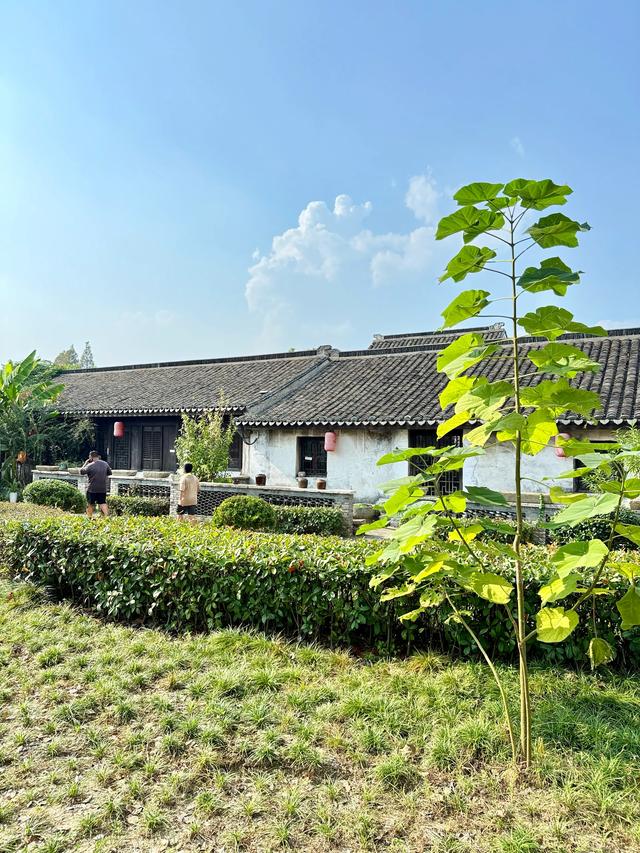 沈荡故事(嘉兴海盐县沈荡镇)