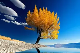 沉默，是一个人最好的克制和修养图片