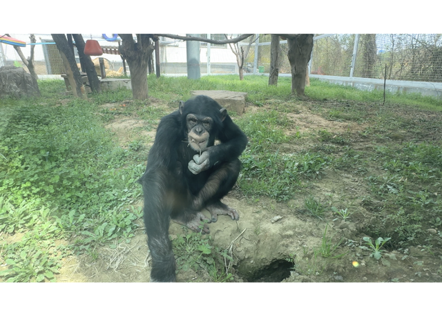 半价！半价！所有人半价！