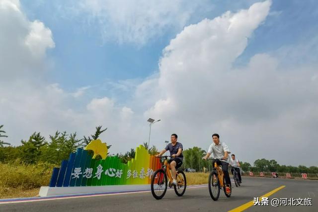 千辆单车免费骑？运动康养双赢的秘密在这里
