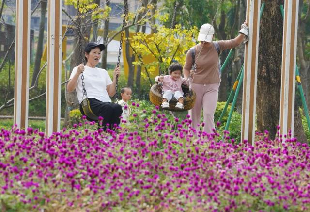 在多彩花海间，邂逅湛江的浪漫初冬！