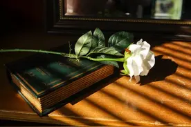 稀有特别的网名，有寓意有内涵，送给特别的你！图片