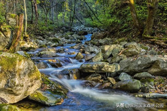 立秋已至，暑热未消，黑河山水与你相约“剩”夏的时光