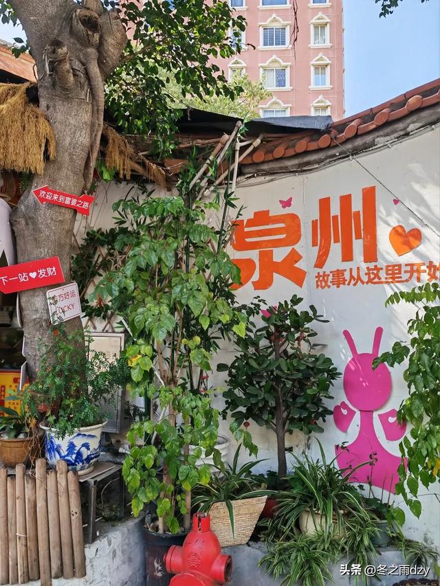 悠游泉州①：古城泉州·半城烟火篇（2025.2.5/2.6）