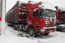 山东司机陈金亮跨省送货，遭遇大雪阻路，凭借一碗面找到亲生母亲图片