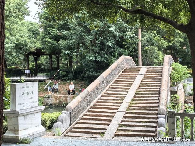 木槿花开时 再探常州万福桥