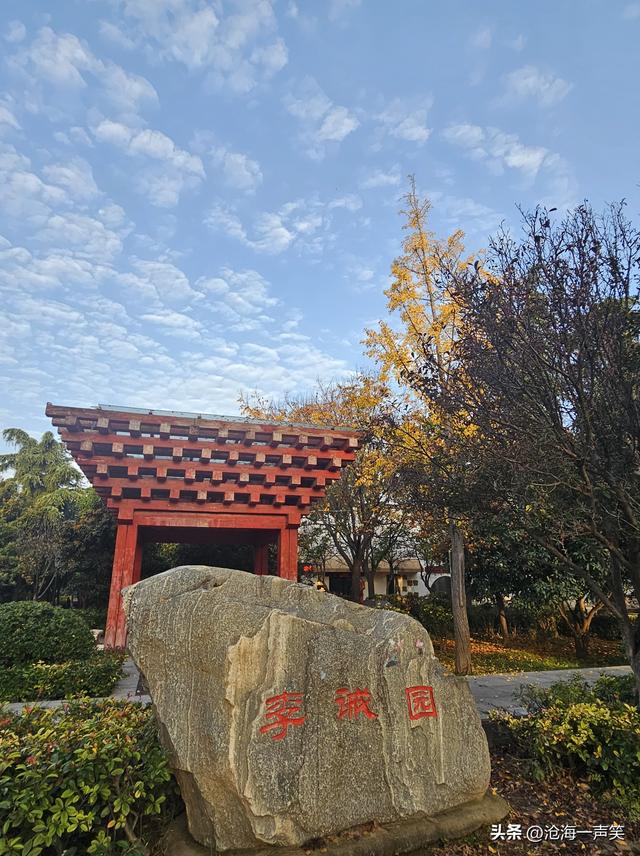 初冬时刻，李戒园的银杏叶，黄透了天，黄透了地，天地和谐共生!