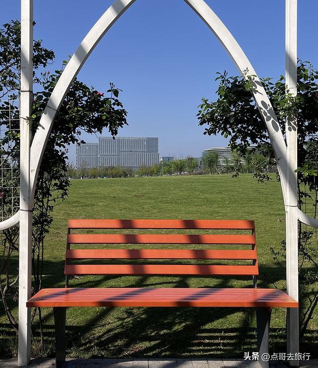 成都蔷薇花开爆了，免费才是最美，花墙瀑布很惊艳，太适合拍照！