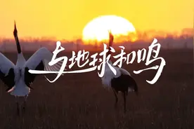 这届地球日有点意思！华为音乐上线“与地球和鸣”空间音频超治愈图片