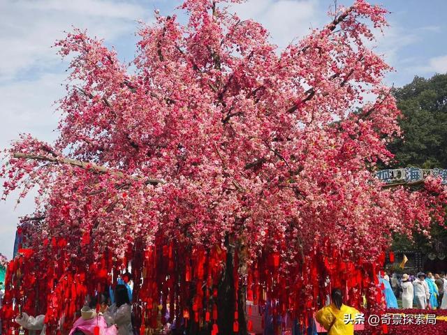 别瞎逛洛阳！这5处绝版景点，去一次记一生