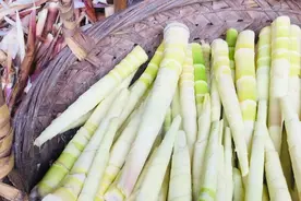 全国哪的笋子最好吃？经评比，江西排第2，第1名实至名归，早知道图片