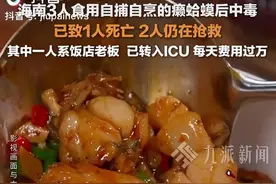 家属的天塌了！海南村民捕捉癞蛤蟆吃，2人进ICU，1人英年早逝图片