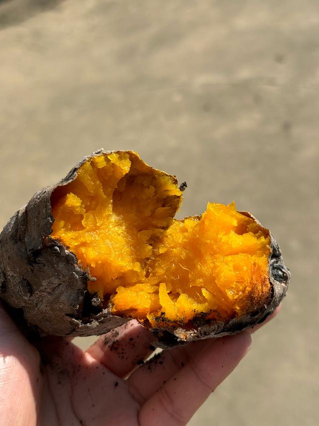 如果秋天只能去一个地方，你会去哪里？