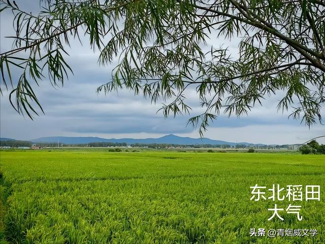 八月闲云行：内蒙古 黑龙江