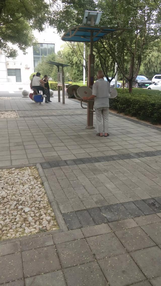星期天的渭南人民公园人声鼎沸，热闹非凡