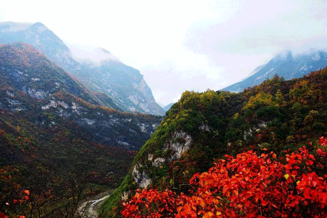 警告！深秋的徽县，千万别出门！因为……