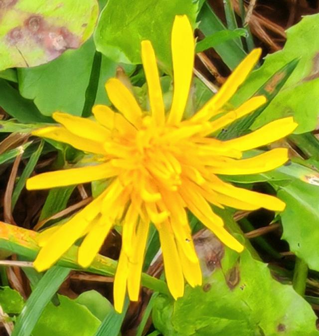 繁花似锦的秋天