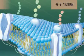 必修一 分子与细胞-备战高考生物重点知识天天背图片