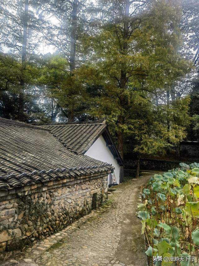 武义郭洞号称江南第一风水村，连坞茶山犹如地球指纹