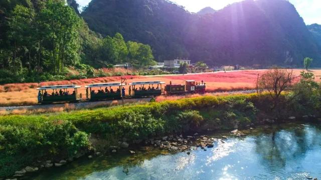 乡游黔中 · 长顺县 付家院村丨金菊翻浪映秋色，品味沉淀的时光