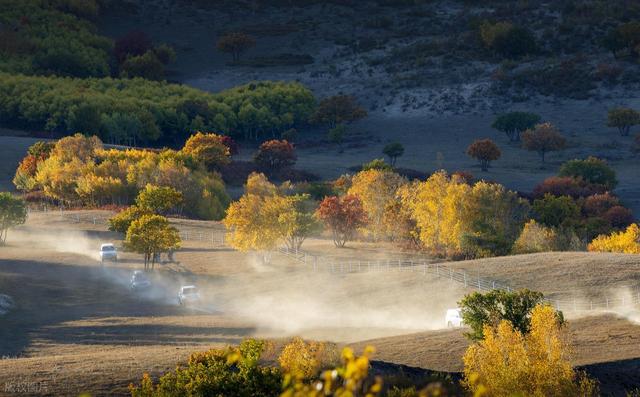 仅限寒冬！河北坝上的雪景，骏马踏雪奔腾，随手拍都是大片！