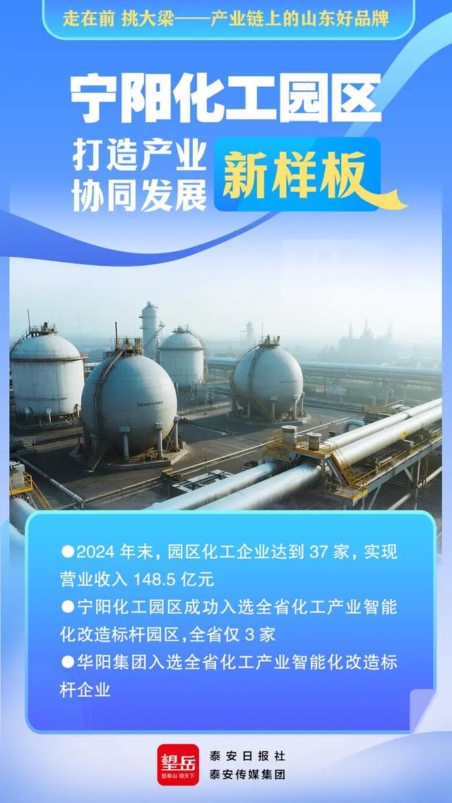 走在前 挑大梁——产业链上的山东好品牌丨望岳AI海报·宁阳化工园区打造产业协同发展新样板