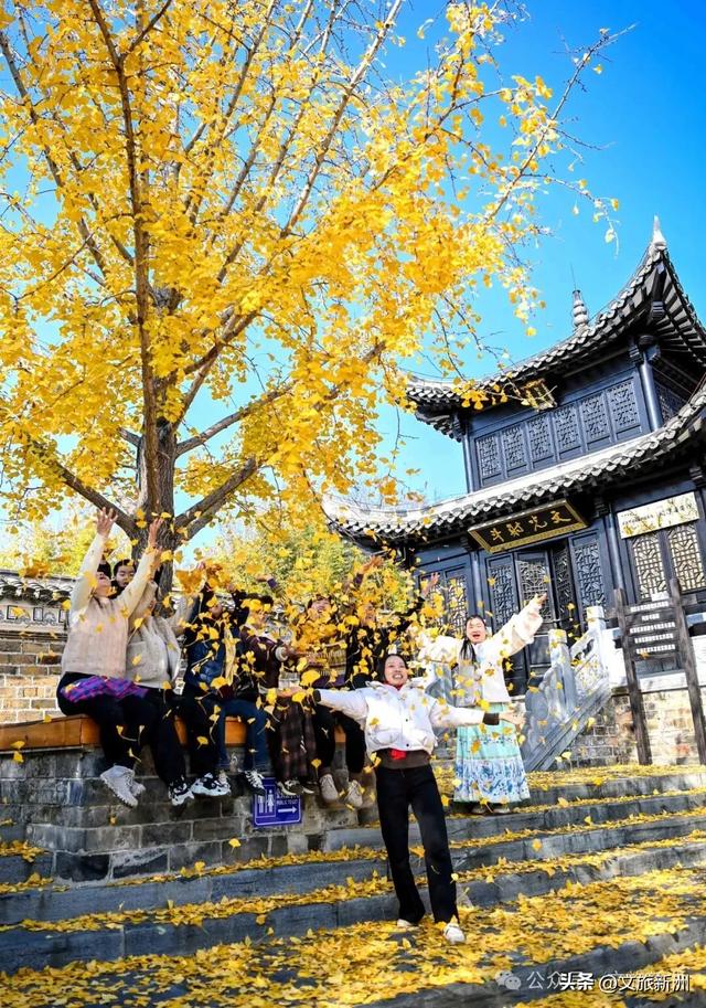 收藏秋日宝藏学玩地图!趣游新洲,为知识充“秋”电