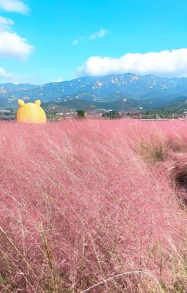 「沂蒙」叠翠映红黄——跟着色彩游临沂