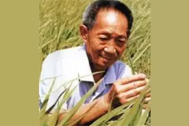 袁隆平孙女上学，老师问：你爷爷是干什么的？孙女：看天气预报的图片