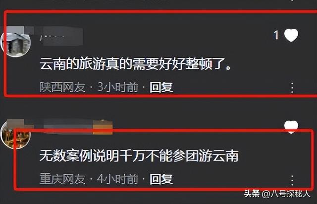 129人云南旅游被甩服务区6小时，原因曝光，官方通报处理结果来了