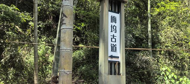 绍兴梅坞古道一条 对新手小白特别友好的线路