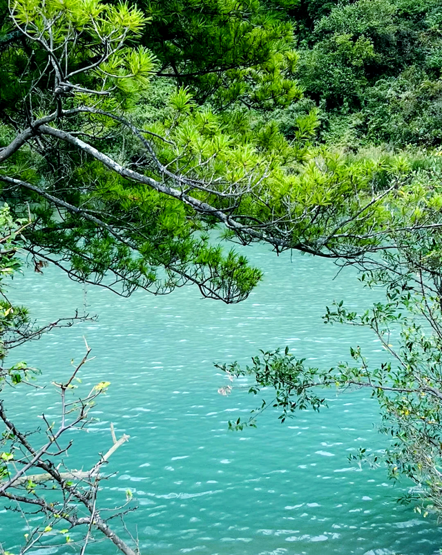 谁懂！陕西这座隐秘小县城，去了直接不想走