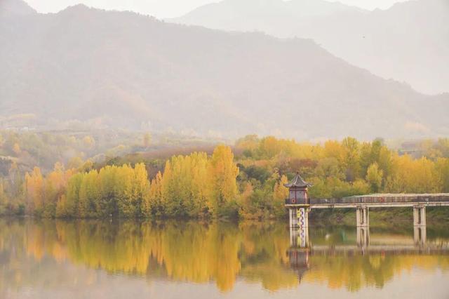 The Qinling Mountains in painted splendor｜秦岭彩叶大赏，美到“巅峰”