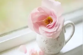 初次去“亲家”家串门，要懂得：不送三礼，不说三话，不带三人图片