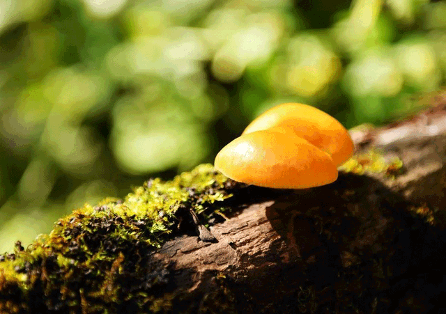 警告！深秋的徽县，千万别出门！因为……