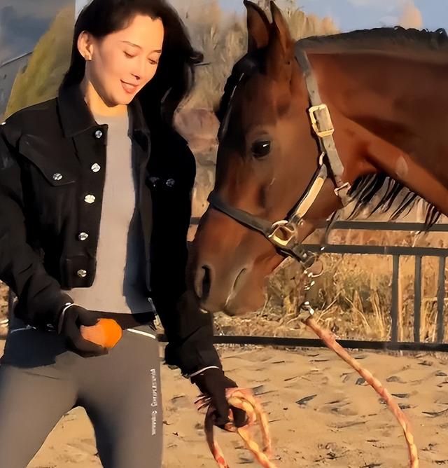 森林北分享养马日常，铲马粪修马蹄接地气，穿紧身裤三角区显尴尬
