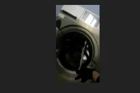 16楼住户洗衣机内咋钻进条活蛇？两天后谜底揭开；律师：养“异宠”需合法手续图片