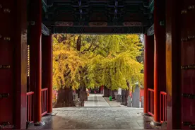 戒牒是什么意思？被注销戒牒意味着啥？图片