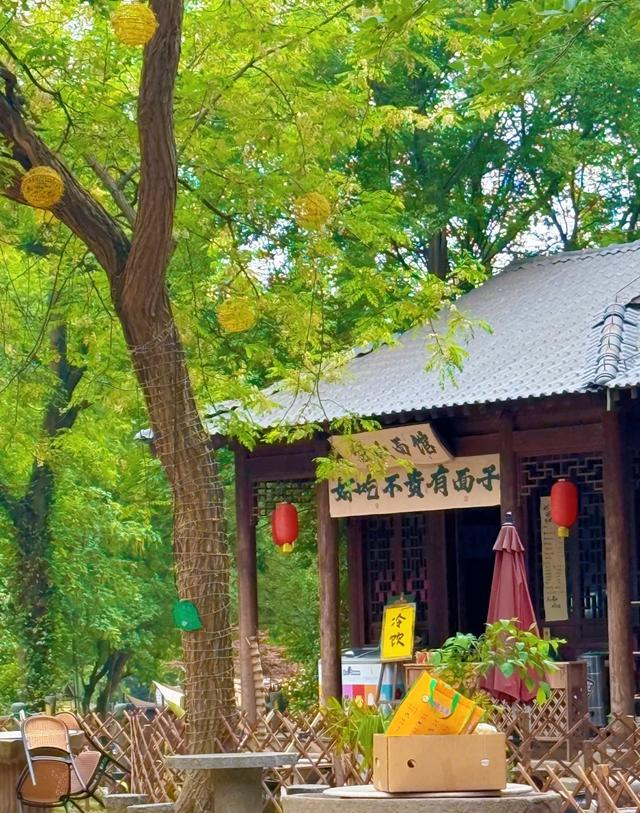 华东超大 “天然氧吧” 免费开放！南京这个森林公园藏不住了